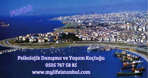 Mylife İstanbul Danışmanlık ve Koçluk Merkezi