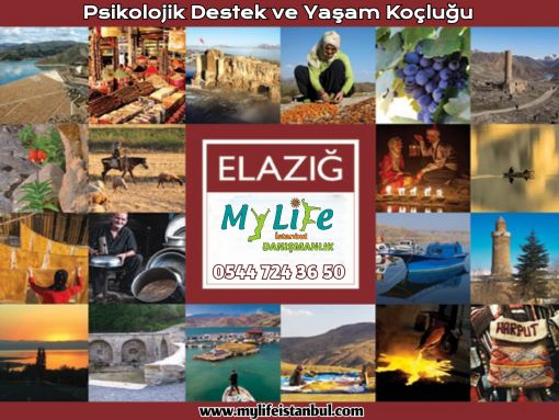 Mylife İstanbul Danışmanlık ve Koçluk Merkezi
